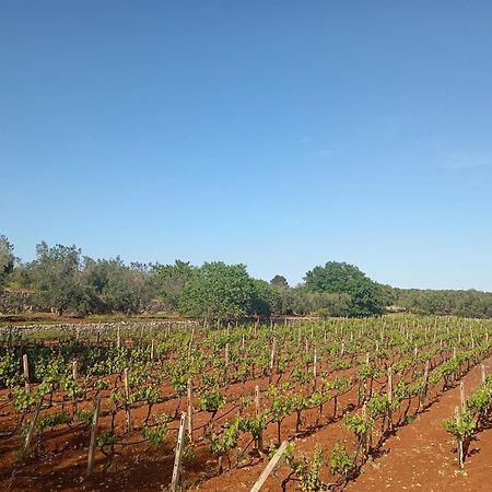 Masseria Le Betulle San Vito dei Normanni Eksteriør billede